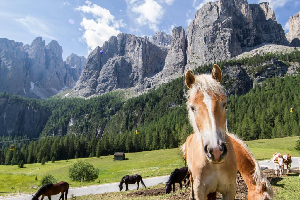 Chalet Madrisa コルヴァーラ・イン・バディーア エクステリア 写真